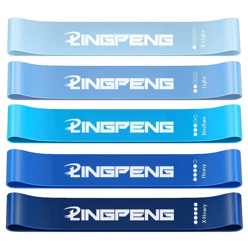 Premium Resistance Bands Set (5 PCS)