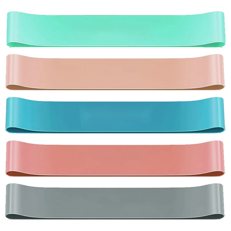Premium Resistance Bands Set (5 PCS)