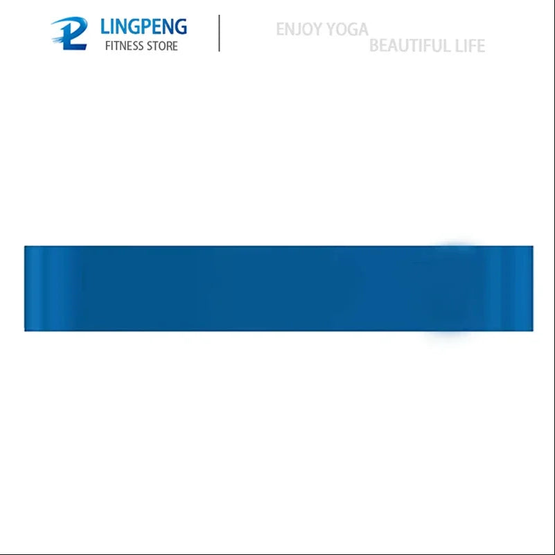 Premium Resistance Bands Set (5 PCS)